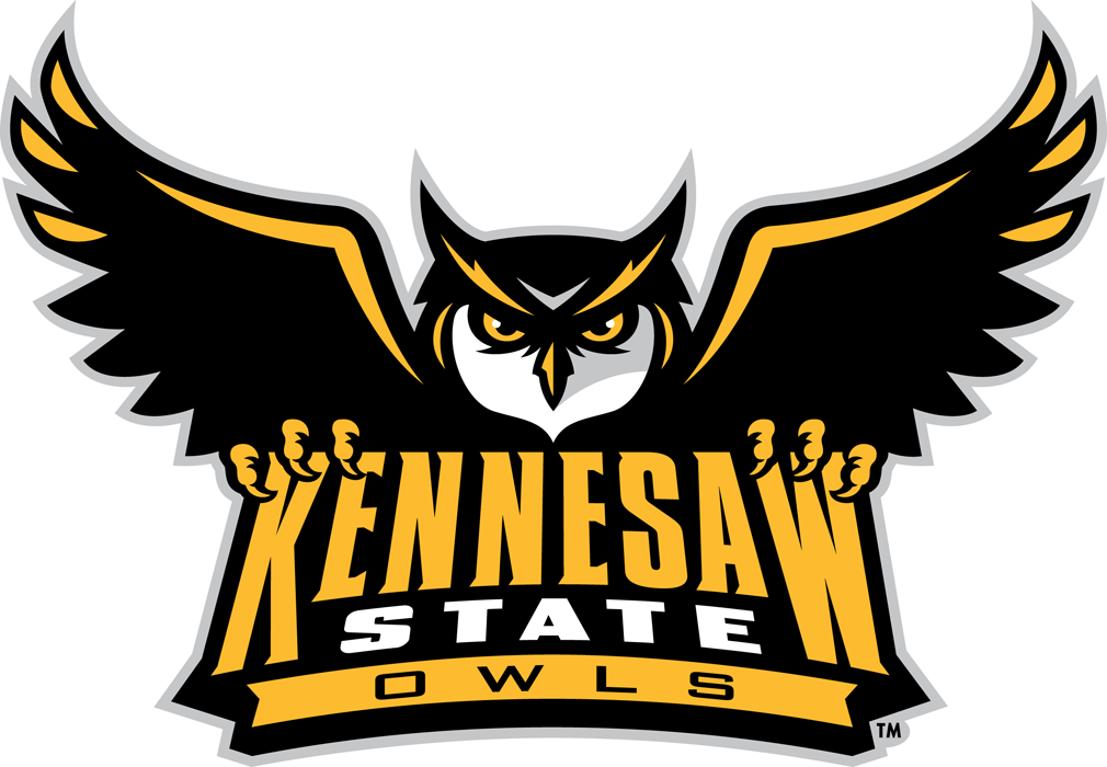 Kennesaw State Owls 2012-Pres Primary Logo iron on transfers for fabric